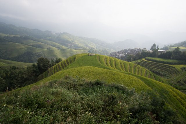 2019_09_18_095342_087