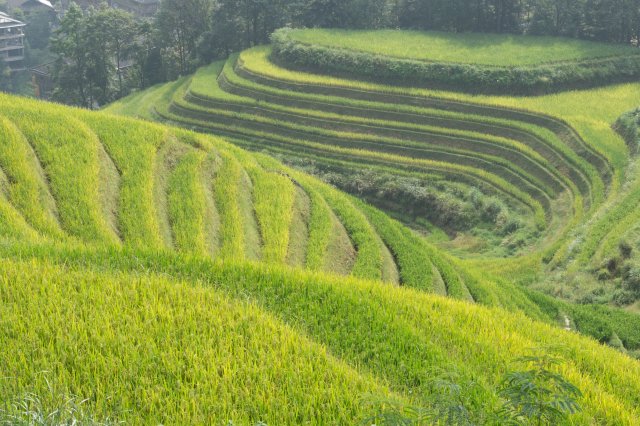 2019_09_18_095517_005