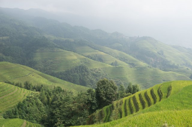 2019_09_18_095531_006