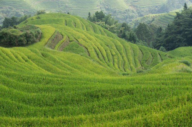 2019_09_18_100717_008