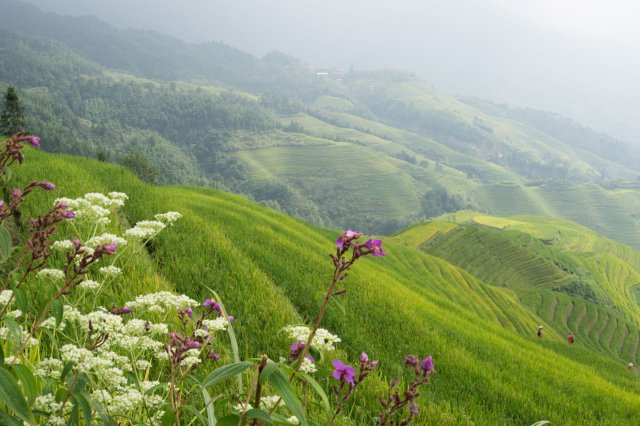 2019_09_18_102150_012