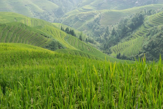 2019_09_18_102454_013