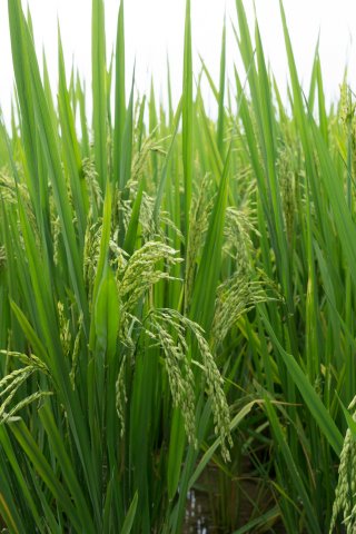 2019_09_18_102645_014