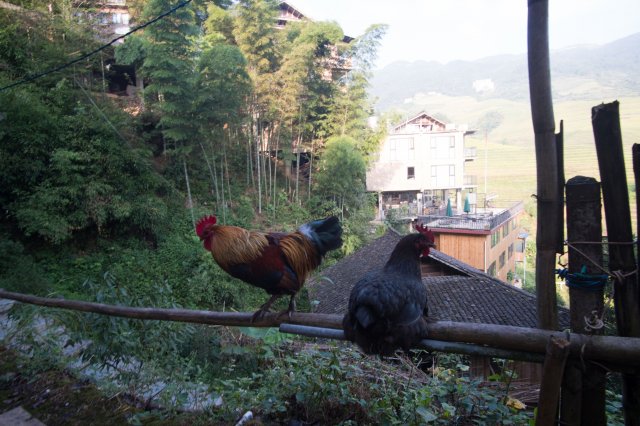 2019_09_19_075653_097