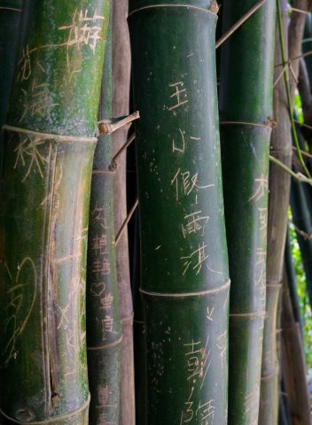 2019_09_19_165434_026