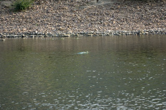 2019_09_19_171838_028