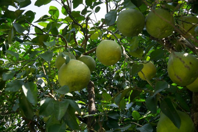 2019_09_20_093313_035