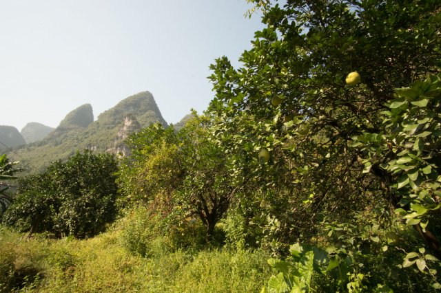 2019_09_20_093338_103