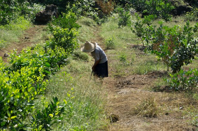 2019_09_20_100139_036