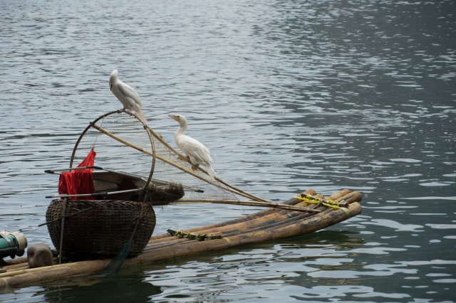 2019_09_20_132415_047