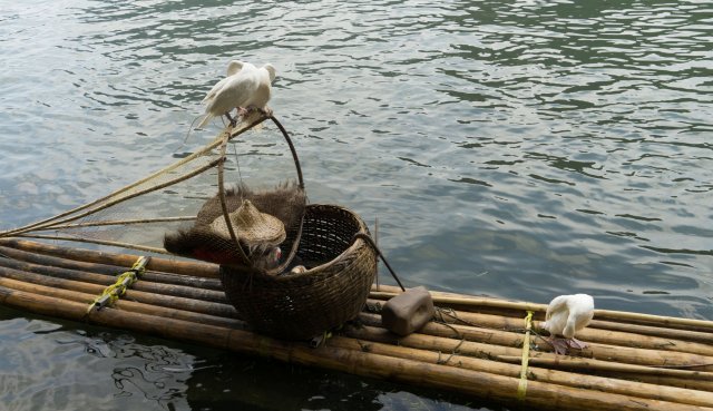 2019_09_20_132618_048