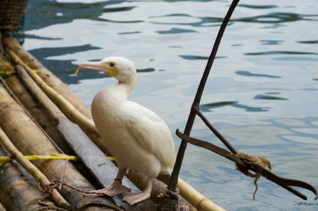 2019_09_20_133709_051