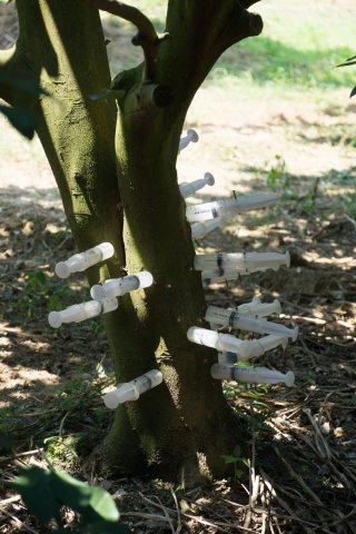 2019_09_21_133925_066