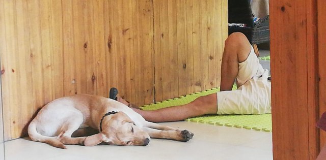 2019_09_21_151733_002