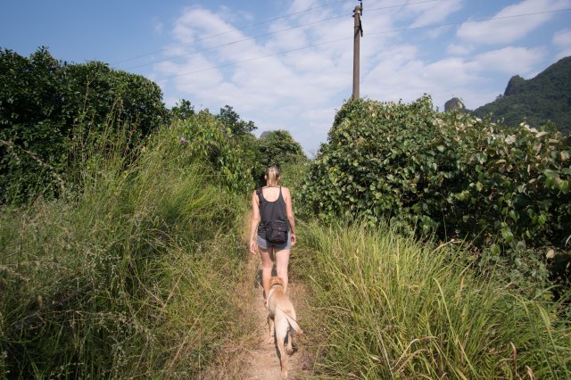 2019_09_21_152813_129