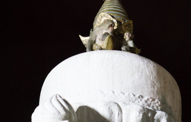 2019_09_26_213646_018