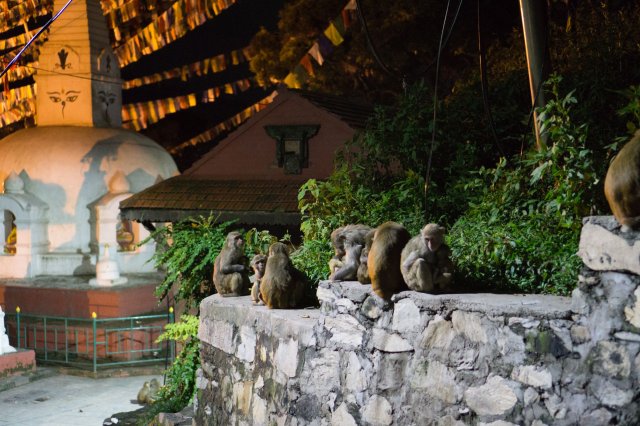 2019_09_26_214922_019