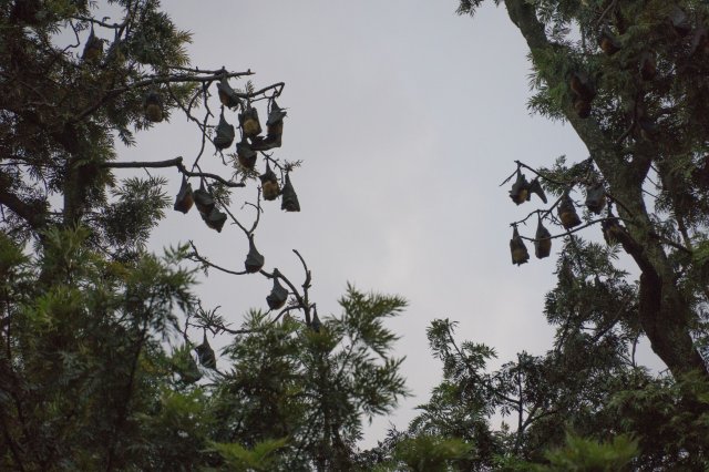 2019_10_16_194859_331