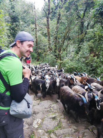 2019_09_29_090657_039