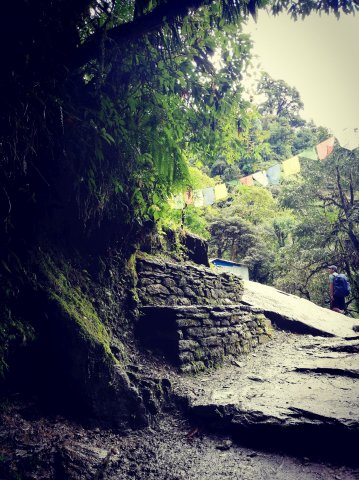 2019_09_29_093632_040