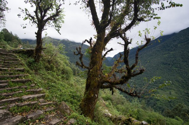 2019_09_29_102339_041