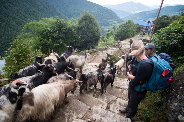 2019_09_29_104455_043