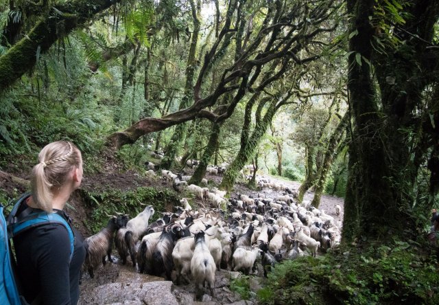 2019_09_29_120951_049