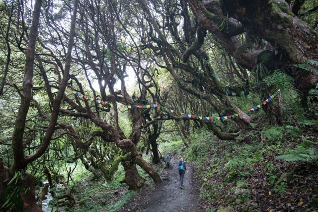 2019_09_29_131216_051