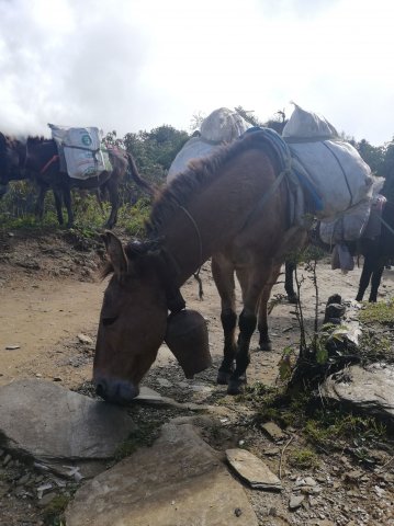 2019_09_30_090029_080