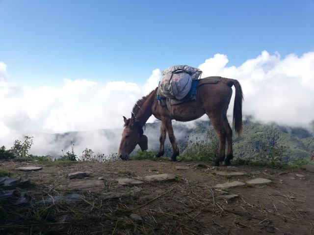 2019_09_30_090155_084