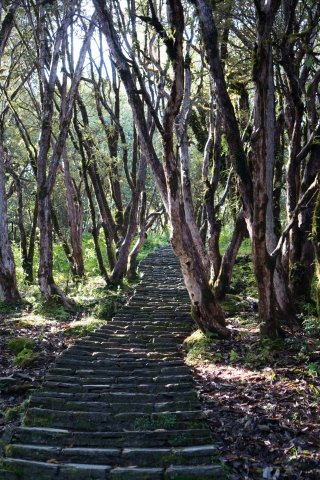 2019_09_30_103235_088