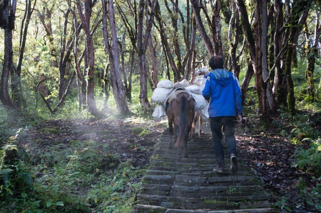 2019_09_30_103515_090