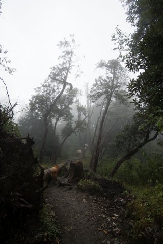 2019_09_30_114805_096