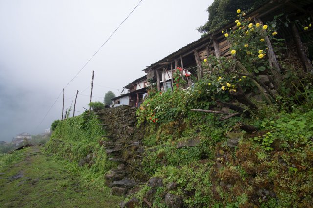 2019_10_01_131330_111