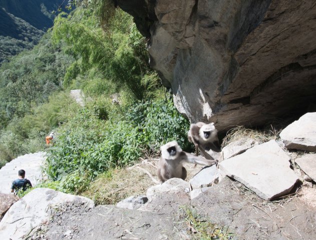 2019_10_04_123720_219