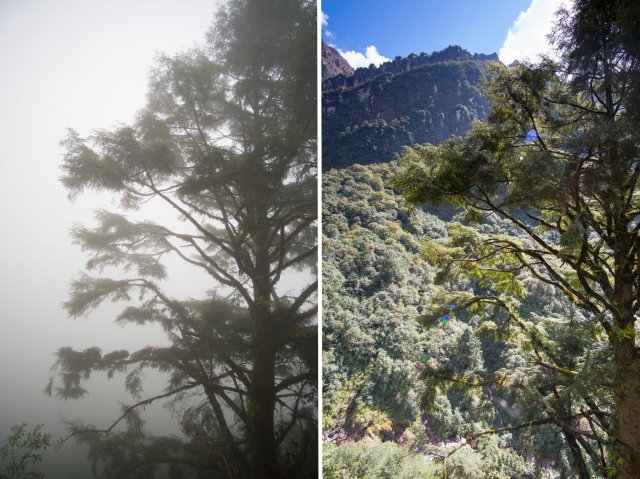 2019_10_04_131900_999