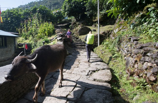 2019_10_05_113601_226