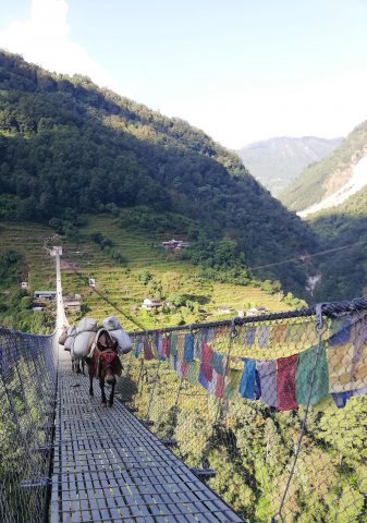 2019_10_06_080729_233