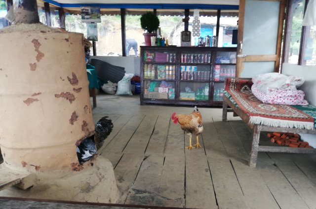 2019_10_06_131743_239