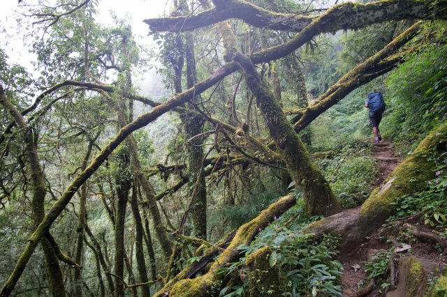 2019_10_06_142823_240