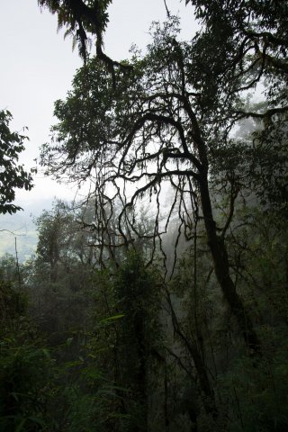 2019_10_06_144204_241