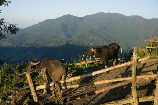 2019_10_07_085651_246