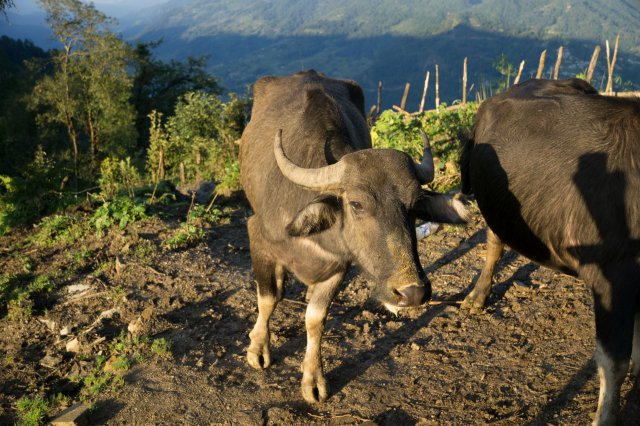 2019_10_07_085728_247