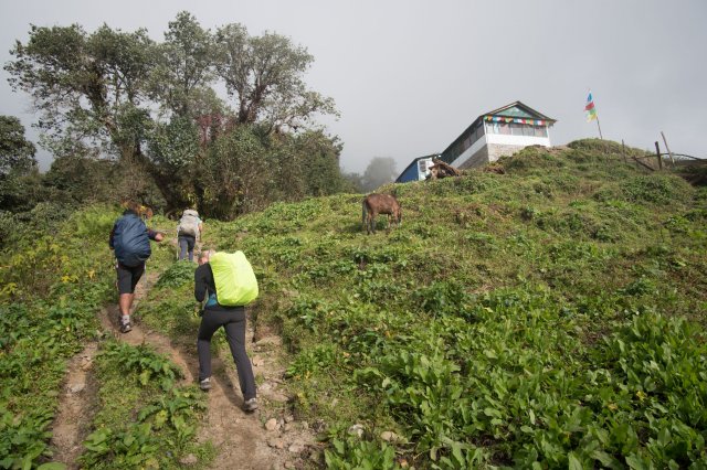 2019_10_07_104808_248