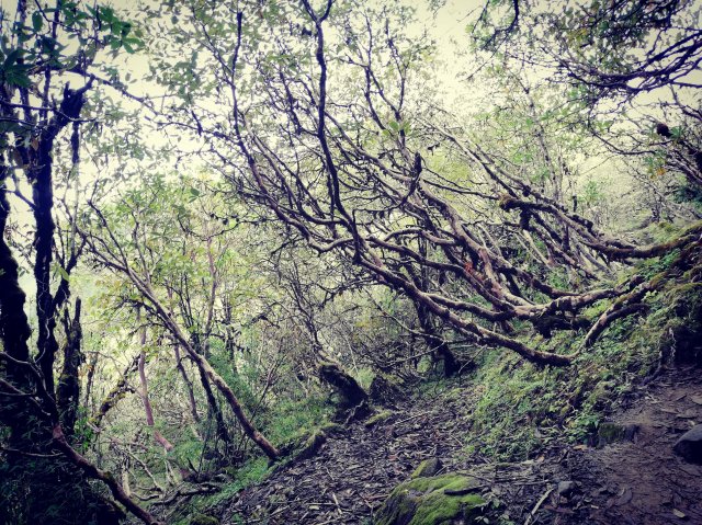 2019_10_07_113520_253