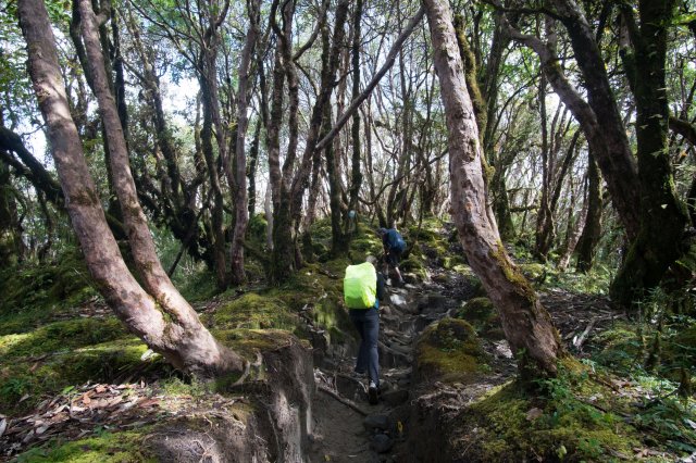 2019_10_07_122209_254