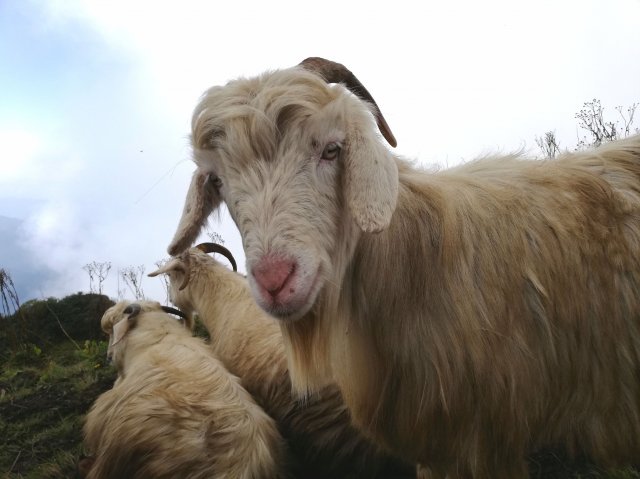 2019_10_08_081610_273