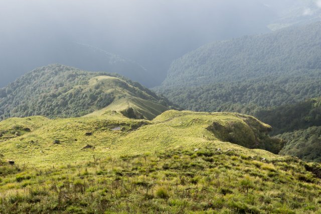 2019_10_08_101115_302