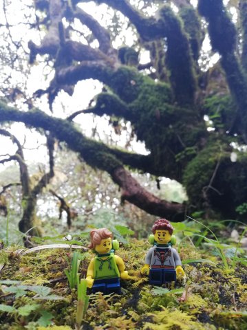 2019_10_08_102449_303