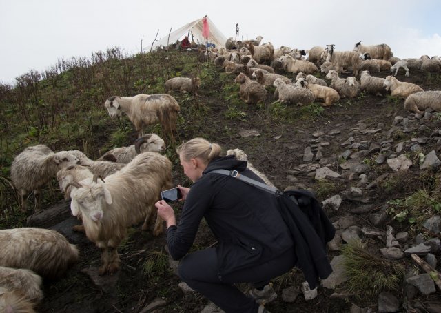 2019_10_08_102929_304